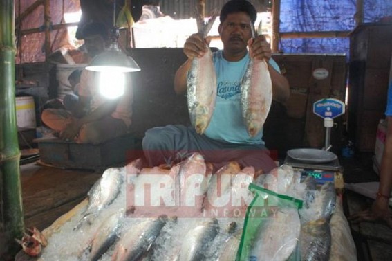 Sky-rocketing price of Hilsa fish ahead of Poila Baishakh hits the pocket of common people, Hilsa prices shoot up to Rs 2000 per Kg 